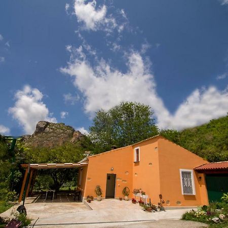 B&B Casa Vacanze Benvenuti Al Sud Aiello Calabro Εξωτερικό φωτογραφία
