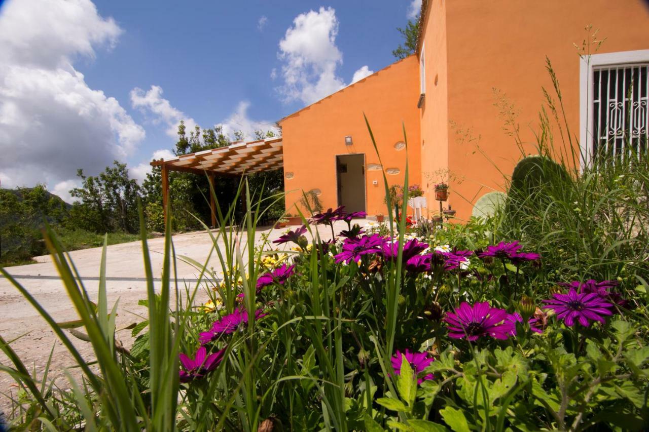 B&B Casa Vacanze Benvenuti Al Sud Aiello Calabro Εξωτερικό φωτογραφία
